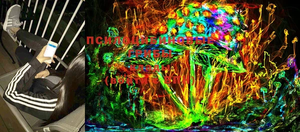 ECSTASY Алексеевка